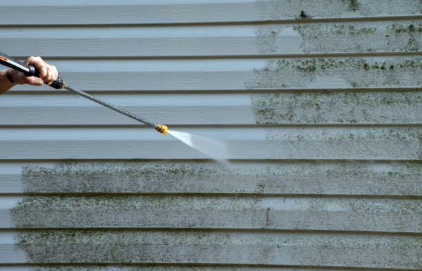 Best Gutter Cleaning  in Lincoln, MO
